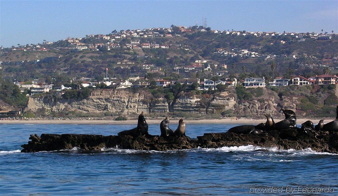 Holiday Inn Express San Clemente N - Beach Area By Ihg Εξωτερικό φωτογραφία